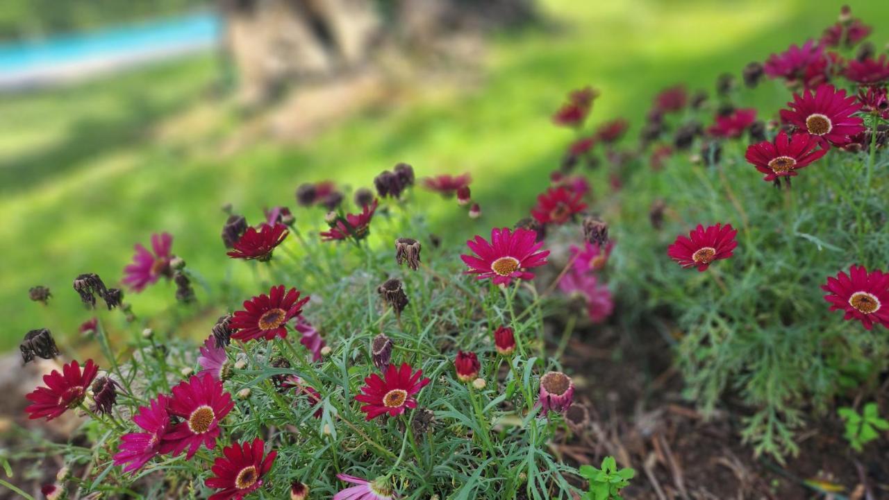 Kato Korakiana Aristea Studios المظهر الخارجي الصورة