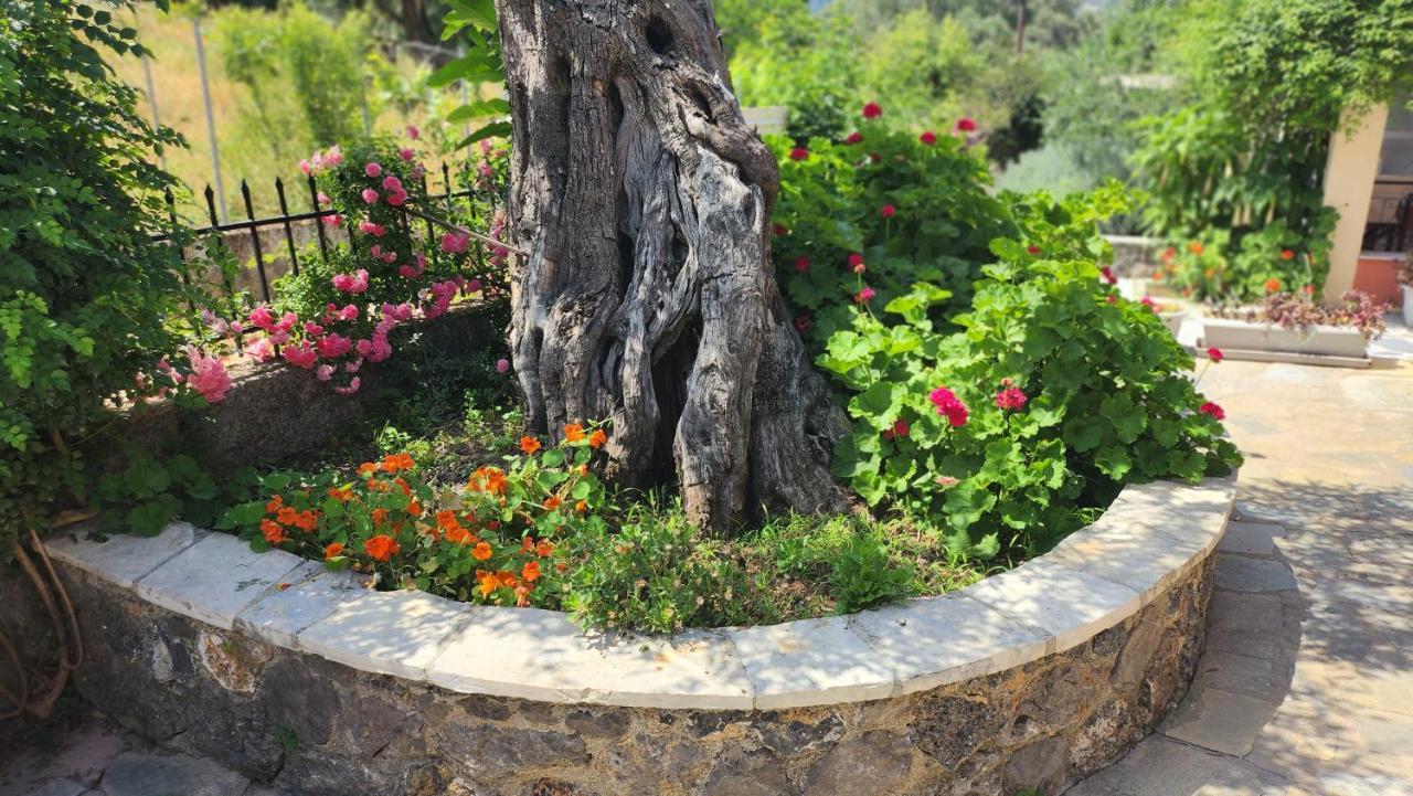 Kato Korakiana Aristea Studios المظهر الخارجي الصورة